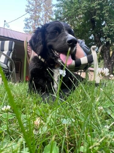 AC9h4noFyZDkZH5SaYvGXX3J6iOA11S7kugEYQSsfFgsMAJZjyM5q6pauQex84mnpjgnmGyV0od9bla4yhxyqWTz7n8fxfX9SD5xAudh9mfZC5F4U1O3mnNYYa3HJJzfgs6ggqqys08gw1600 h1000 k no