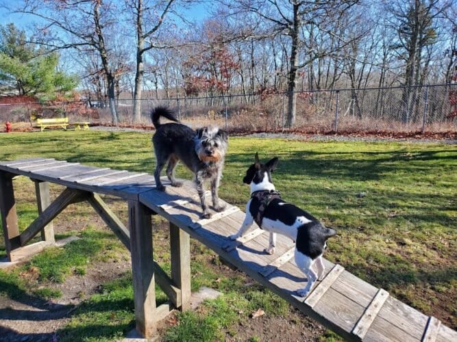 AC9h4noG pE2S2mueRMlvd1jxpv n3ztgaFxqYuQMC9n5ggpTEleTVBQuIvgcYMkwwGjYC3tOSNQ0m8O8TIc1k1p9sTjVDD9 WQluKj yJZwA0SQ9pWI0cid71Wz32mmFx Dr1xexbFtw1600 h1000 k no