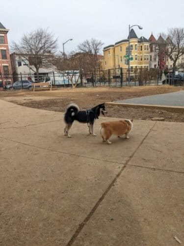 AC9h4noG4EYRAsogkHIuz7Npv7a6mjJz2MnV gl7yrQJ H8DCaN3RAVqgsL3Z1XPM2vknv7uPEIvLOL2UQC3D4RWY2KJxNOWIV HUGCe0aE93jZ5aSCOKEVt5AoGZYoazdVDK7xVbfJ8gw1600 h1000 k no