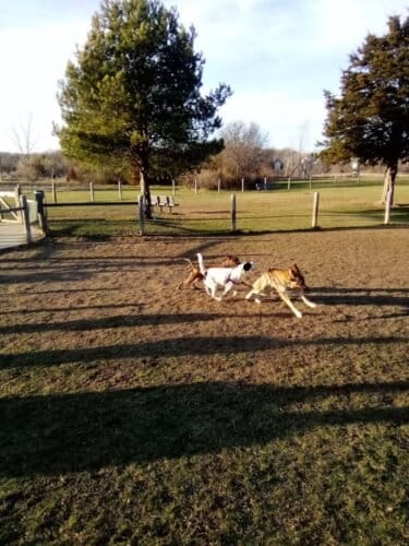 AC9h4noGDkSb BkDN4QVTVR95fLMZinsEtOOCN26Z9r8g9gv8Qy COqMbwtv1Ljq jfFzODNSROwaWGZlJuogixRJxR5ZtkEbBaIY9T9vSisjOBU6espVFm3XRh U8YFeh0SxrdrqjDPw1600 h1000 k no