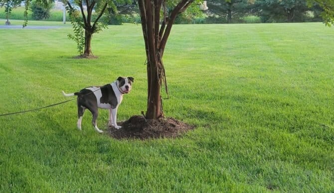 AC9h4noGL3mgWr0Hp9LCR35 COqjNNYjD72CSDQrWTBcE NaDmvaRAGboKhP D7cBAyBdB18lkSgJDvvFda yhz BJ5cMy5WNQR16j7plj8qXMZb5VIKyko6r2qX4h wwE6AJBDTsHp2w1600 h1000 k no