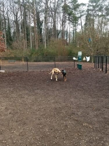 AC9h4noGR4rO8mMWLZiOxsnwlQw4v4 T HI8ZRoZL5P9B4AukMHk2waruC5fVobCVZ7fpxz4wWZUAPMPMSEeYqfLI8GOgjO2ZcXVkquCnwEw1600 h1000 k no