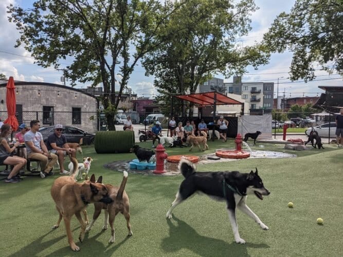 AC9h4noGRrVnyDXsL8Zaw5T5g4JepgRdgd7q8bK8 VNt 2Q4Qb aB0QYMlXpMAJgqN2XNkJbOam2 PFQ5ImZoz zyAAKabRlgFuzB tpgJZmipiP69Za hg1w rDgMI zWfTf3BUGgdrwgw1600 h1000 k no