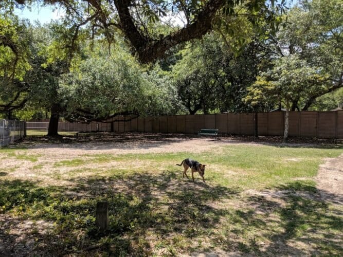 AC9h4noGdUhU pXeFkPQ0MGXsPm75e810GPqXQRO5BkpqkqCqRkpHNviPpZ7PbNMIDsNbvhRLjc2MM6YhPkyH7Q2XEV9QHHZj dreM0ln5Ew1600 h1000 k no