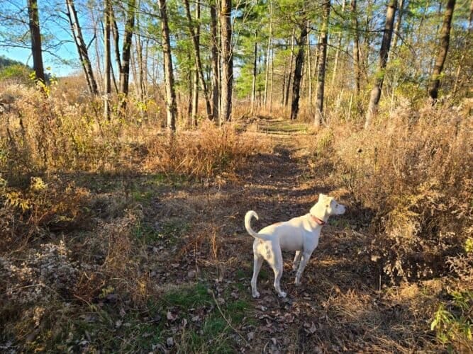 AC9h4noGhWCM M0i7jcjStE3y qGSXXEPNZTbIkpnX9sw2E8wKmrhvBzm5A0dDWtIKWRKHBvWvKgP8a  fPJOQShc cYnxAT 2wUKI3VgHGmkoSwqmjyagNYL7i Qki UHl50o01sqK8w1600 h1000 k no