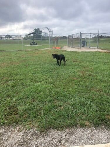 AC9h4noGs3wGoJGhhosl1Ybe0bgMo wGpuYEP0maev9jpGPvtF0YeGANBCQTUul3Z2z9Rvz5pgPyeiMzHjiwqST21qXEWgtSZu4Uwx6IKdt lBq Tg8C5HeaCMpYBmq2p4y BuH3ORKZKww1600 h1000 k no