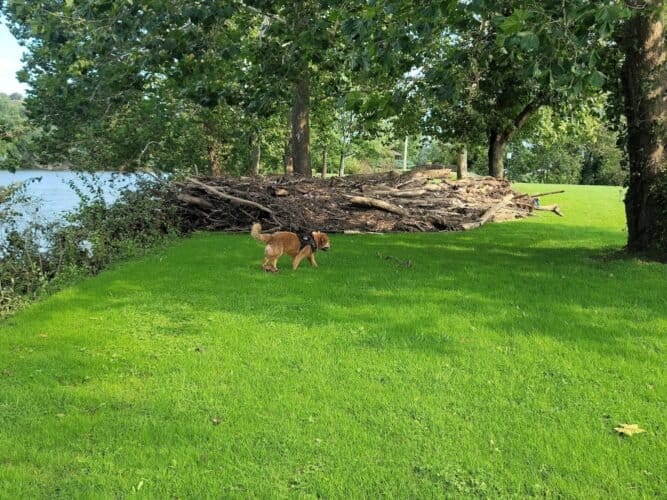 AC9h4noH gFa3bLACG4TtRyF kDbC3FrlQzSBxXd6vihD X2hTTF9Cw1N D34TkvmLxjr4JfBxtmUFE8KBXc mkD8Pxl ftYJFGhR50Vkfh 4z4pmClJ7TV7TiTNx1CmWlUXr5jWMfWEw1600 h1000 k no