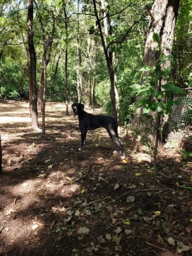 AC9h4noH0heaQEylGWL TzZx6Gr8QUyLTKWqhTrIQkyolMxGUp qTPYDPvFWS3Ry V o1Nc KJo3El7Q21PNjQkd y0ILnMkdQktWNtlM4XUrKCAVeaQ2dG0wdzanv1UQAOkyQ uXoz1w1600 h1000 k no