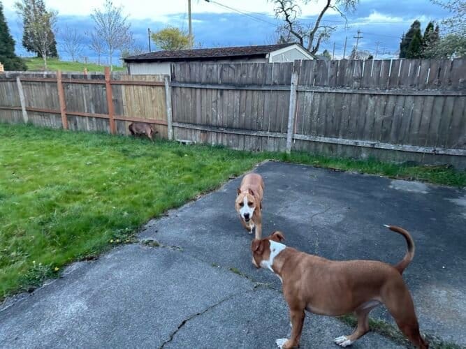 AC9h4noH2SKNdyoS4tmzu1 ebTG40y YMpVLHhAxGHrOobL7iSHi ByZU5zn8pujTVQyyHWVHaVooOWu3IbrD7jwd0gXoqtM5zM 1A8URdKhr48IlfhOKnduycHAzRRS2JRDROdh564w1600 h1000 k no