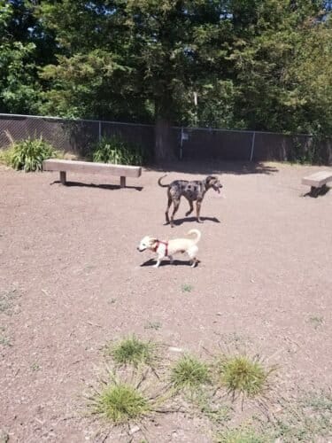 AC9h4noHGjRUM66mQSfCkZKZObLwRGCpUNPh1gTeLFz3EqJ8QWAG5luNtkrh7t YvQNER3Agna6ZxDi6i GpaKSnjNcUawmQKljYZQ7M3UbLXE1T4Buvo XK3ImtdhGBwVUyZqKE9gRyw1600 h1000 k no