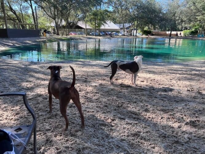 AC9h4noHXij86K Q LNuyDTmb8AKgOObZpqc0geMXjD80UVA1GTeFOUfxnMEbO6EqaGrWEfrXfwLTkze9TNeMu4k YobXdBNenRFadAUZjUw1600 h1000 k no