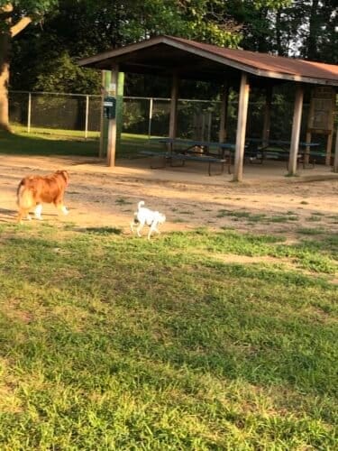 AC9h4noHcXkkqiw5HzAlbDOUIO7ptSvW6rTUzp4omuqAf5BANHyKNI0AWK aDQDnZ2fIzJCsX4RBupsPZ JhF ZwLxC9tiMctoR9cgRvogw1600 h1000 k no