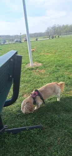 AC9h4noHhx5sjCbGpgRQcOMn XpdKAaHyho1cKEx  JDZOq7zTyeIJdyruf3nrQEjh8PmzNgk6A7eJu DAIQQ5UXBDVYXsGu 6PM6W4i9tEpyndTgwwd0Y1ngN lxecbqTNY1tdLPMTFaQw1600 h1000 k no