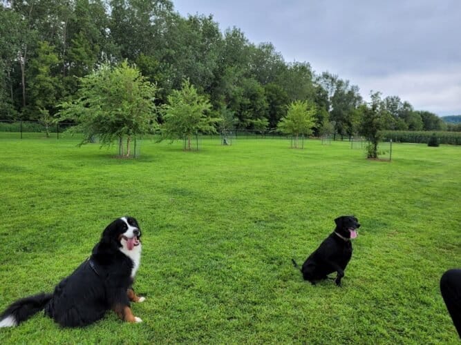 AC9h4noHl8R7hslf kq5EI4SAbyEnYFCYKoxno75yvusELqBneCga9X 2VHBbUz E9QCKYQg7BqBVQox0s7hZDXiunJpHhKd0u 1X5AsOEvZDnhEfRW7pD9Ixc6iYD0pAaDHArsW7G1okgw1600 h1000 k no