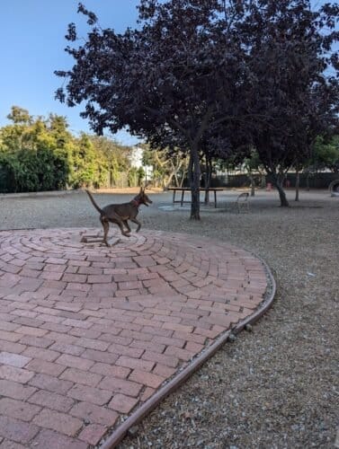 AC9h4noHoW50iJMMc1tJ6KLOr7eE8dz254sqIpHvFgLtR7yce83mV45KdqcErY9u4DpcPvJhHMyhsH1ujVsy4gCMirVZDn  HoPAUWoKRUow1600 h1000 k no