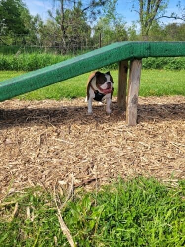 AC9h4noHr kP34D0ExWfL4R2rtwBNxS5Y d7QEu5c9kIfdsFpiiyEs1Ac8BsnNgLj7HI9ibFTgzIws2lli1QTCwYYWvIAMD83ls6a0hXLQ9rTdmxkBDQZIeDmLrWijNRrJ8EL4gQciDiYAw1600 h1000 k no