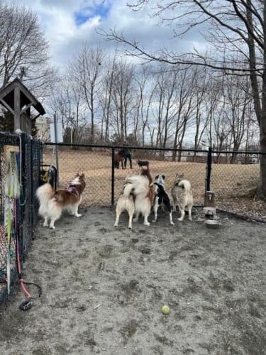 AC9h4noHtz7dc92jccMHjIEhWFZpwmRRLHlvQWovYy1Vn3fqI 5dQKK1OmB1bLZxfz8aBj8gsMmWGiKAALZ686oHHJzaNwjP8poTaK2eEkFt4Sprbvl6f8BoApDDQTxVMD9eeu7kOccwhQw1600 h1000 k no