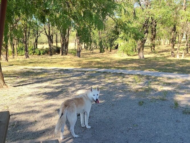 AC9h4noI0V61bxPZXTjNyfuBtIcjmnX5aH0evZRzzBCTqtBsxjVDLE40 I4hQnqYUUJYLEQMGGUb6WAiNNl8DsxXCLRDmT3foYm0TiGkjJmJHUd2I7plbK6S  oTOTUfBqnm8OF0N3J9ww1600 h1000 k no