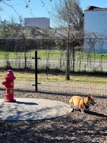 AC9h4noI7WG63jIZVws7ph O 6AkHEKpvrEVqvQ VTIe4VR8aRkC4CoylSTPLOO7RpzyfYW7yGuTQp1EiojxsDZPl ICln8d cOnWGmuw1600 h1000 k no