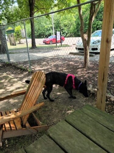 AC9h4noI8EFfZ9kHJ2UpYxaS4Q3tg77XyT2Egwea7Th2ErBCBg1v8MbTZOe24eiqsOz8XrqeRGkg2ugz84Onf3D7CxkSnjSDO1neTZH5w1600 h1000 k no