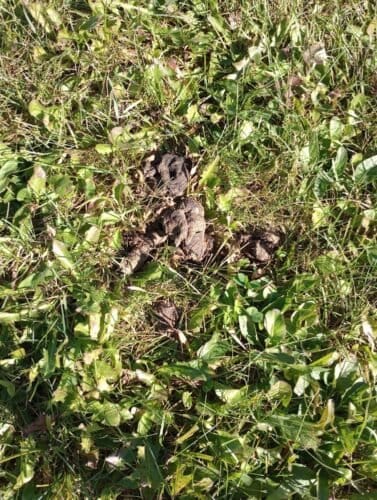 AC9h4noIAHDJV0EWj9ktbFQmWUOzEDT2zNOcLBLLPqr4cw4UUfv2Ss4r fj7SDgPkkkcWrUXfOwRfLj 6CIsxNemBGVpFTgRjZ5kzltfEiYDRp S9UkwViZLdkBmL8rhhUwMpSVKAzi2w1600 h1000 k no