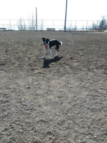 AC9h4noIB8OmnNf1GFZRBTFeT gTldVL3OL8EVyWQc5 H RKcLVa49jB4S0haRb4raKKm mLuJs5xY adeZgB2gZnndZnLRmTVmKHMSt 1 9Z3tD1sSuUtG7dCfaFJqiJtX0jiShuT08w1600 h1000 k no