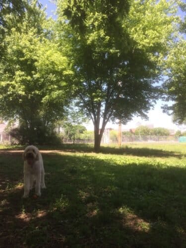 AC9h4noIGIAM1OeIsCgQXUg0wvXTZ6h8t A228QPo9I211ilp1zC2E4TzyVI6zz1n m6 WyiUtH0BidChNUrmjgjUMqc0KzQ3sH58PmgFIN1SVYPb8diJXPpILM86N5GXdLuK hV6Dkw1600 h1000 k no