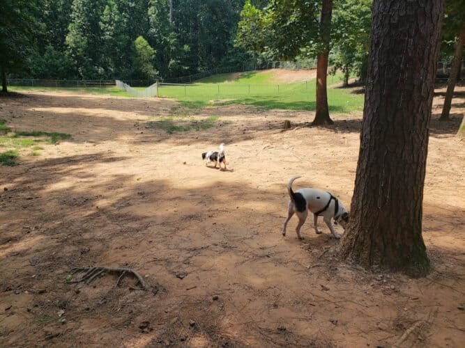 AC9h4noI jlEnY7yjz3FdPAulSID3FS6i GJNTqgDX18uvAIX0eXLYlzfvAxyuL6KrLDBlItsCnZsTp9LPQOwe9gaw5DuaOVlCfGYTM8h CDw4gjtOB5uWuGkbjryVtXVS4Z92 xh dlw1600 h1000 k no