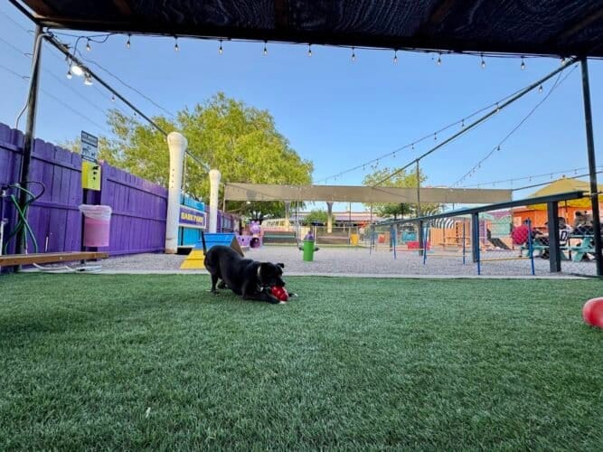 AC9h4noIaLDTDU9myaHTKw3QPbATcPFq1 wFuAXx8Gqs9sCnvBqTezyN3KiHZ9SS NBh MWrt4QFJQDPsRw9WGkbI4 wU8ciln0eh9zZL3Iw1600 h1000 k no