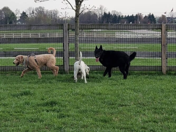 AC9h4noIkHFmHYaT9g5laxxhMXnUNwrx QrF1OVBElbGbmsTr0Qoq6XOS5k0rTyy8LfFzy00B13xb42Ngd17oHj9ai nYvEY u6NP2P 5pVtqeTD52UIek5Bj X2trCWevtiCCtEBMFfjww1600 h1000 k no