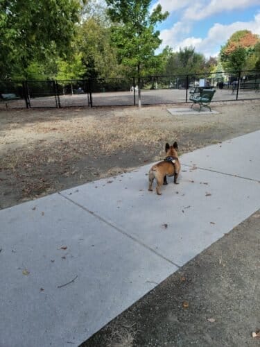 AC9h4noJ8rmPXIIb4ONTlp Ogtfjkc0IjBtmIc7WP9f5JQKI2QIpmAPaq1yN5g6PKlEeAnRbGqNM4qJMtEWH6PK8u4E odtgLiyaIrs9C Umgfiok3O8zh23CF4H95xHgoY0U9VUKH9Xw1600 h1000 k no