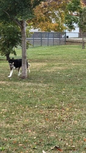 AC9h4noJEMEfxQ7qZyvvxxJ82uZ5esJmaacEbNgV254VAGbuR eUq2hemXoM1tx3zp6X4xJzOVcoNiPEVMIXPKubncGxfWfFmQmeZrnYCgg2sefu 5Tm46RkBRWYwz Q0  yzjIYvn8w1600 h1000 k no