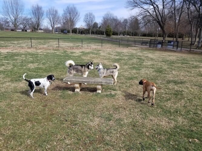 AC9h4noJG9xzkE MiMwxgsH9Y trQYDPVIBdhUyr4mvFOXap1bMJ3k xRoLXD9UvjbgwwG36w9O98AdgteWELR7Whp8qJphfhidw7mGc zpeN TKMarhuJvspLzD2gqkzmCLUbLeepkhw1600 h1000 k no