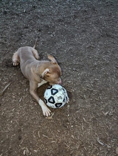 AC9h4noJIYpUsXbQwRk9o4B2UZmI5TNGvaIwG5KNNSIv63W69oOtwOnjLH4X8D9isCKmlvETOztHMDAlFkUmiGxcKnkq5b8xEcFd1cX rG 4wRi rxLierxuswGpqAg3OgbHCxRQYaAW6Qw1600 h1000 k no