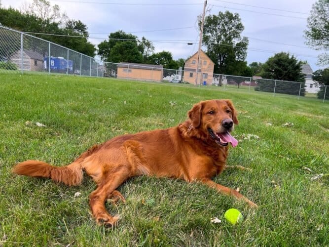 AC9h4noJUHhNkciwzw5z9BGIiRymBKoK6qNU DyvILhGVJqVYC60wo6ofV4M2B3D1fqYxOaXwH3qX0WwSjQSzSRQvDFE yS 18uqDKkXCv7ysrHWJ7qfmxQ7KimAnAeh icz ZVZaERFGww1600 h1000 k no