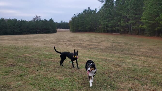 AC9h4noJb5WHROs2L5gA4bnoLxgR4BN  UGyLnegURyyPo6kdnsaM2FUrncNKxTGuj2T F9bvrfl0GCV1 F vVWtb08eywEoqnEuiwHQ58z0hduywjGl0Te17YzSDpk0ipXSrGArFv8w1600 h1000 k no