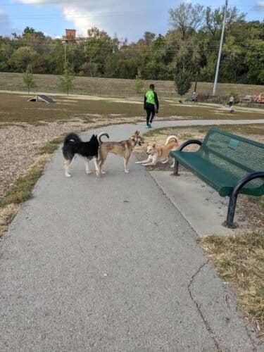 AC9h4noJksHr9xJzu9 i 6oKHlSB3l3X7gSHeOGvFMnlOMCqcFf4gWpbGVVeFnjjzvxy9Yj8GZfOwmPQdFvP4Ic5p4UZ8EL ZOkbrQwVtb4w1600 h1000 k no