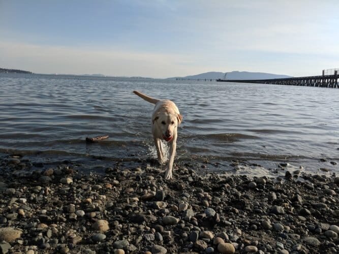 AC9h4noJojer04jiFcm1oMm0EWJrFNbgfM74kx5kCspa6iD4jWQsJEixIwdjWGvRITVU8hyt4XQuHSP6XerPzAd6E05tiqfny lBkIK w1600 h1000 k no