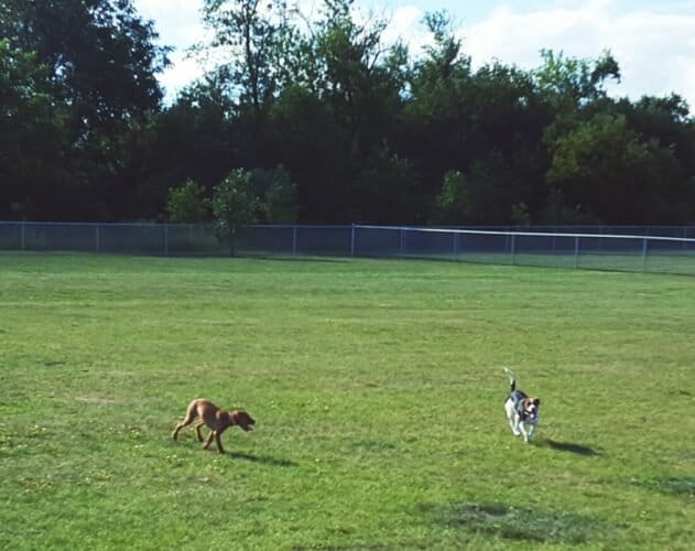 AC9h4noJunoZ WVjV Zvnvy2niAlhtkCr1cn24rwyyepc 3T6rnJ7zc4nxb72b1oknQnRyAhknitXPW2RmfNR0425wLyWISKwQsi0kbAX7kO49oN35l1QvhN6ayTgI7sDy249Kjlnr5Hw1600 h1000 k no