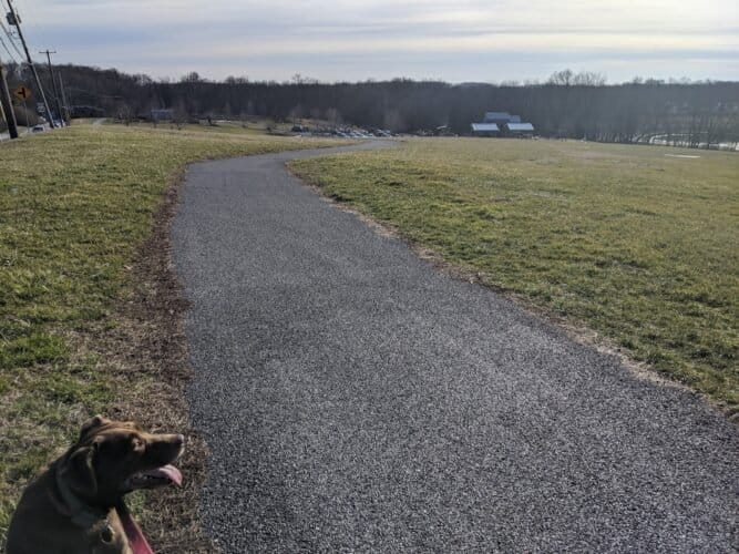 AC9h4noJxiTyhNeN5JHfL a1tFnm boGm3UIdzPXcd3JkJGgrPILDS9KM3eiKm XO1Xrx4vGV8RHGDl7IYUY F9vI9BtaDv26m6iqDMiw1600 h1000 k no