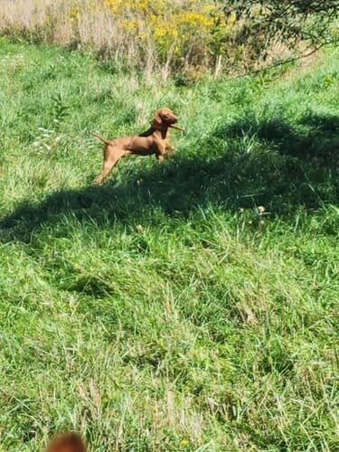 AC9h4noK kE6WQNAc80sT9 sGz3h oUgSrGESwhsZAo8eoS4fo HiR3QCzEsuokQkdvnJM9MN9e7xEtiTM7D63xA9LXFxhAHg2tulU6mliOhRKYP75NFJlzsi9M9DmH4qD4tAfgXDGh BQw1600 h1000 k no