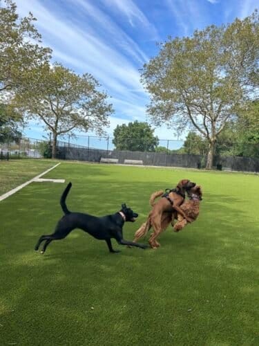 AC9h4noK4UDkoVRDwNb7qRgd39Nm7bdkCvXX0S5K5dFTSFN9E83Vubgs3rtPIoifLoMm80FSeDpiH90vnPeRFKOjqDAtrrRSaUJ2nsQCEDXwZU3dM915X3P2JG7svp505bCDq A9zP gw1600 h1000 k no