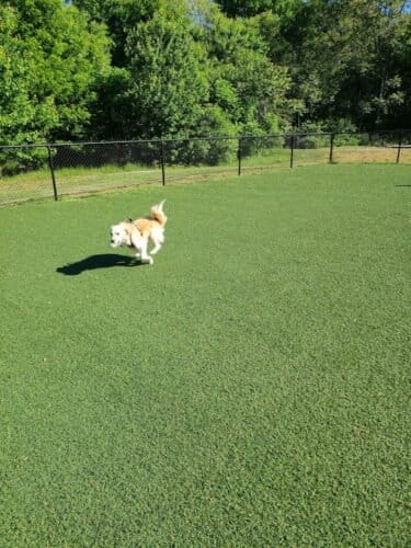 AC9h4noKI62B8ee5 qBoQIbIaXJRVBJ9w 9PU nRzvBD2YTDpkB0xyrtRBWJFShMlt4SPPfTi9BJ8mu4WO5XW5uFP5lPMmDjuTaFR3hEoHpVi WtFuKuNQMgZoxjMhsqFm98ueSkvEiDw1600 h1000 k no