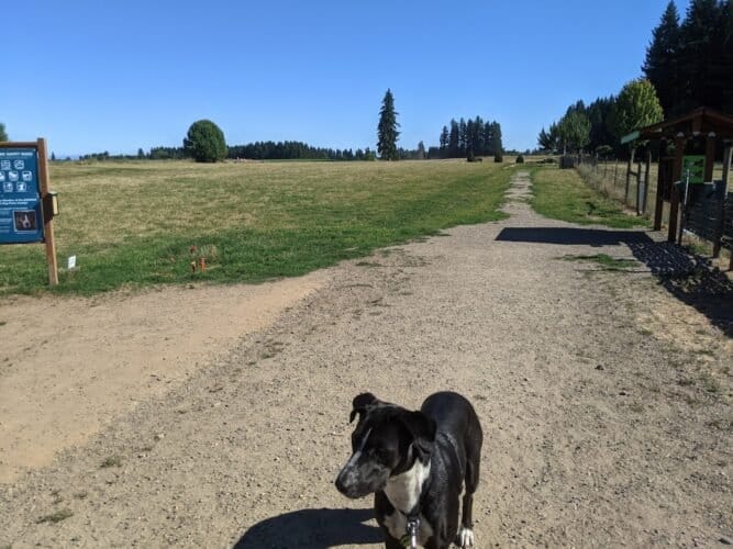 AC9h4noKIYdBNoummtetOVWDPH8kgaqed6IbqPuQSITGSihf1SuPA8DD 4qtVoDEEJ9RljJjOG3Al33MsTw95ACvsLFKrJGp5 LMpRPH I74Wvq2MFZ7IkMmwPOAE4hLHmYKHmFQpAUfgw1600 h1000 k no