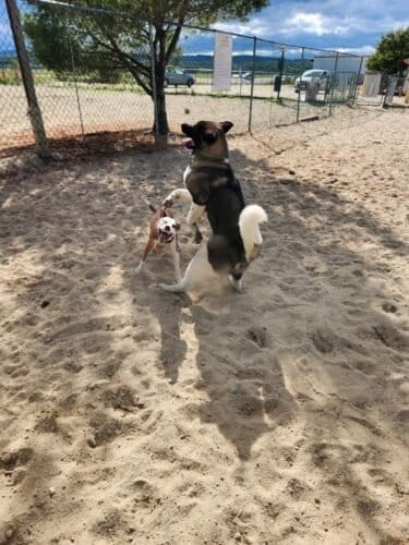 AC9h4noKNmP0GjAWzrqUWfSyxXDAUqRLRQnYJ4owHuWRDKMB4bflgiEa94GxyPOKK 4ZTEhF8y232XPULnhP7A1UP6M0iC3SdYFSN0OyhyUAaTR5CVbYlJnabRXdKqM6Hi CeLBFGyxHw1600 h1000 k no