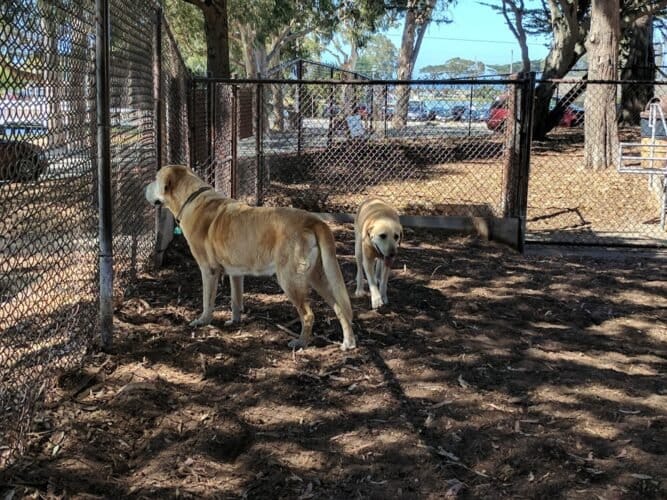 AC9h4noKXoBQUxZjFbSjrc4L2iAot zhlr8cdeS8Q 0c5 iB9D4UTZTPimmuKmbrdD0SkmtadsbuEei FwG cl2 zSxn4DFk8FIhl0dD Hh7r5uM5khN1F 2UNXpy65pV1dtLYZAgoXXEAw1600 h1000 k no