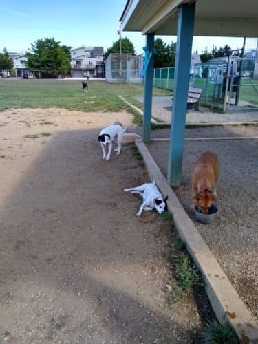 AC9h4noKZsKk0EOEI fs8MmS qCTIZjBHBJUN11WGNBynULw3go38gWPWTAeb4NVuvU BikFvyeg4McFonD3uZR4 yV1U1tzsHubVEXjagw1600 h1000 k no