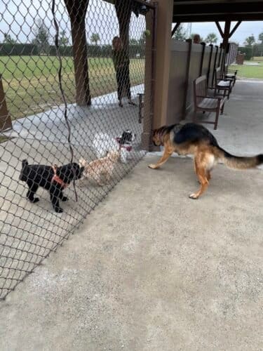 AC9h4noKroNBzLyZwftFKIhqR6X7yYhwTwOzAUOmmUc3iRIa4szu6gIkm3p YBMQoQIevVlu2GJqrzEHfyZoDfQIGu8VgVzybnMIOaG9rh7zTWjlXv dK7Dy4WRA6IbQ5B5kvOAr8Vgw1600 h1000 k no