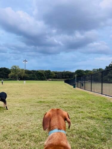 AC9h4noL1ZDgoGQ2Y8IiOaHQo jv wFqruZZYGKAHlPCaZ8O4kLaB XGTgupXQ8BAFApAuOw azFhdYozb4nXr41r5F9RoFzuWYi0Djha6NUZNow xmjPDrTtrr4ssBLUc9F 5SdaeiCbgw1600 h1000 k no