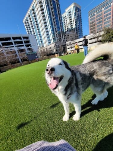 AC9h4noL2tWqDlOgmVEn14d6vuA8JYkOZhRSqKjd3n0O jvd7fGQKYc4Eu5e56Lik1 GDq1VY Wfh4tyyvPVlAw3Ifd55EofkzWocPIUD3eWb6dBI rGXbSBVXKEEO RT5QbbiZW evYw1600 h1000 k no